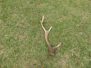 IMG_0327_convert_20140508140617